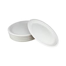 One Time Plastic Plate (large-10") 25 pcs saidpur