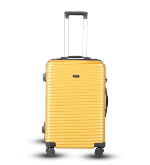 Trolley bag