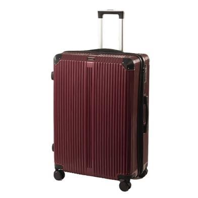 Trolley bag