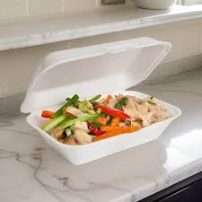 Disposable Lunch Box 10 Pieces