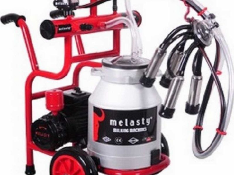 Single Milking Machine Turkeey