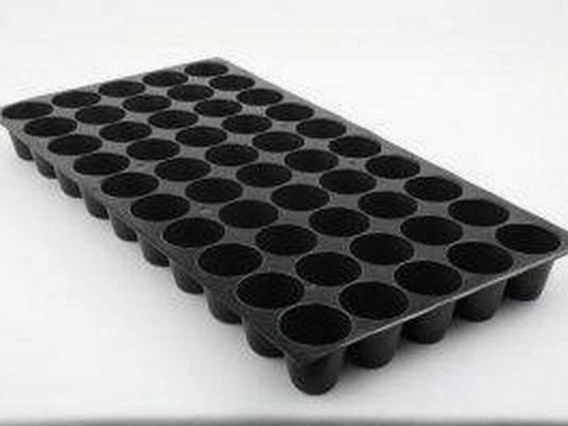 Seedling Tray | সিডলিং ট্রে | ৫০ গর্ত