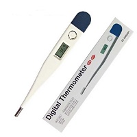 Digital Thermometer Actual Buzzle