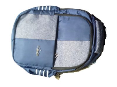 স্কুল ব্যাগ