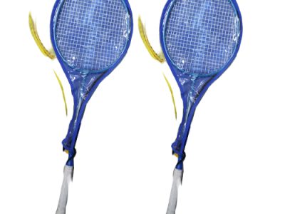 এনিবল (anyball badminton)
