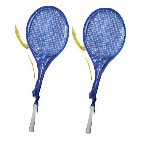 এনিবল (anyball badminton)