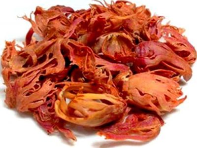 জয়ত্রি