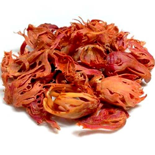 জয়ত্রি