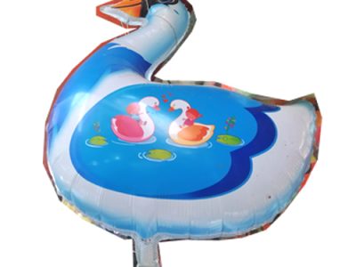 ফয়েল হাঁস