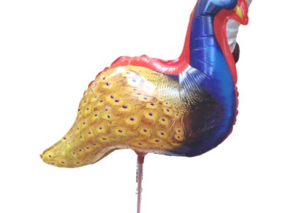 ছোট লাঠি ময়ুর