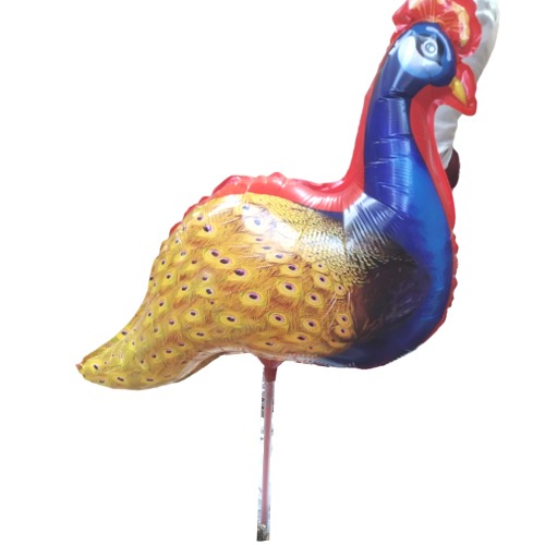 ছোট লাঠি ময়ুর