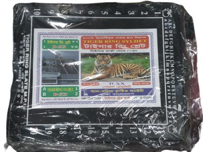 প্লাস্টিক স্লেট বড়