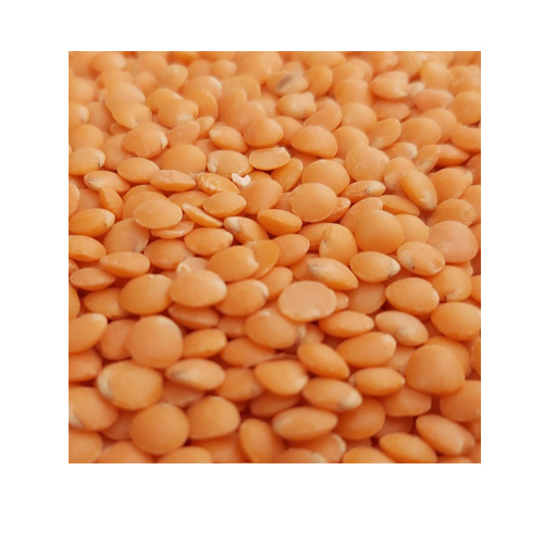 মসুর ডাল কানাডা অস্ট্রেলিয়া