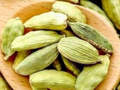 এলাচি বড় (বেস্ট কোয়ালিটি)