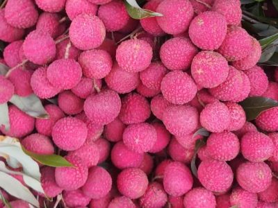 china lychee চায়না লিচু