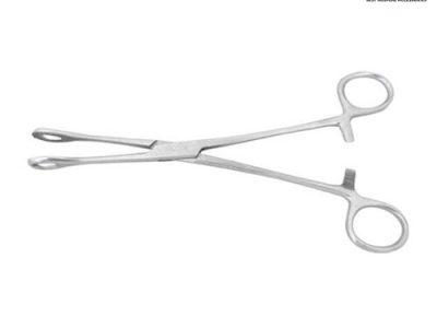 Sponge Holding Forceps AIZ