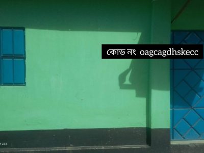 বাসা ভাড়া হবে।