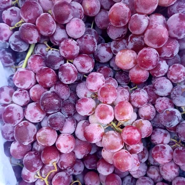 Red Grape লাল আঙুর
