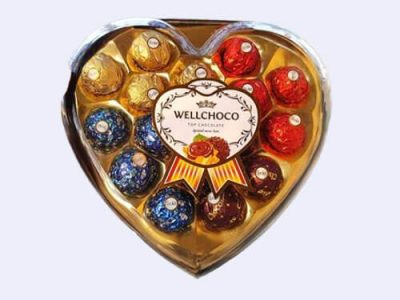 wellchoco chocolate 12 pieces gift box