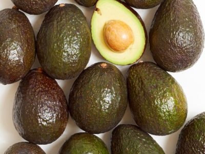 Regular avocado