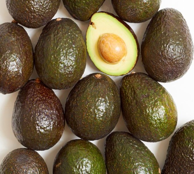 Regular avocado