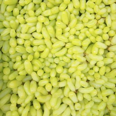 Green Grape আঙুর