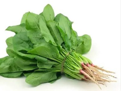 মুলা শাখ (mula sakh)