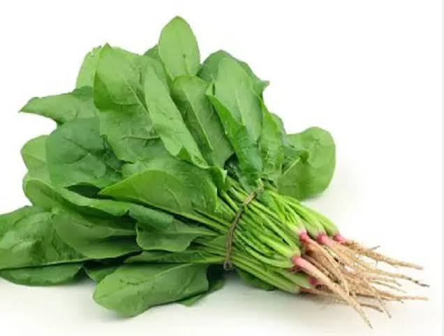 মুলা শাখ (mula sakh)