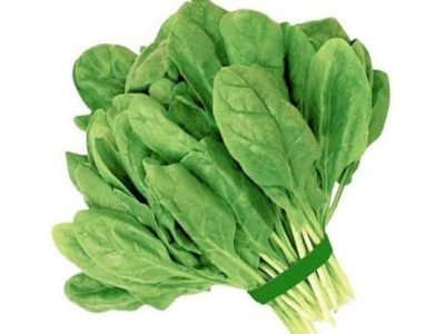 পালন শাখ (Palon sakh)