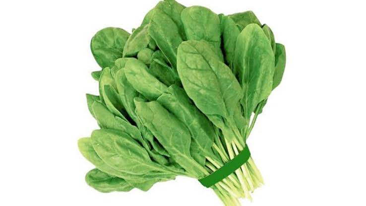 পালন শাখ (Palon sakh)