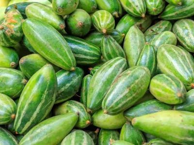 পটল(potol)