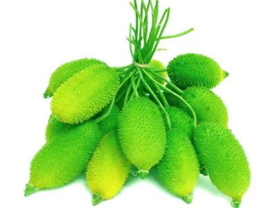 কারল(kakrol)