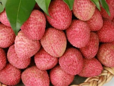 Lichu -লিচু