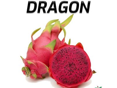 Red Dragon- লাল ড্রাগন