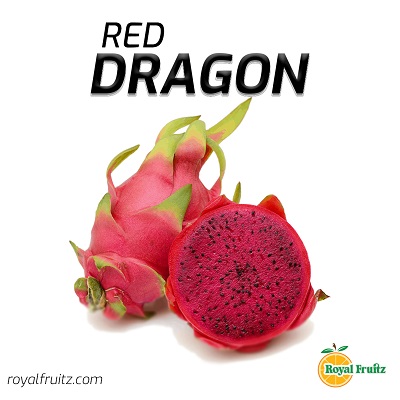 Red Dragon- লাল ড্রাগন