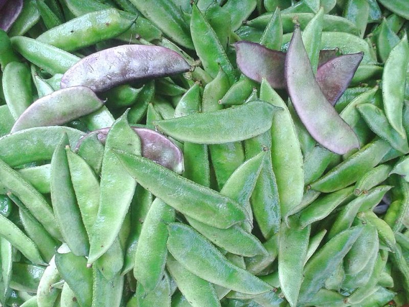 শিম