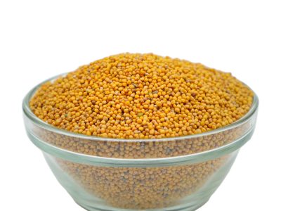 সর্ষে