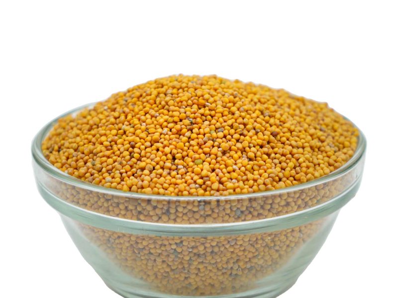 সর্ষে