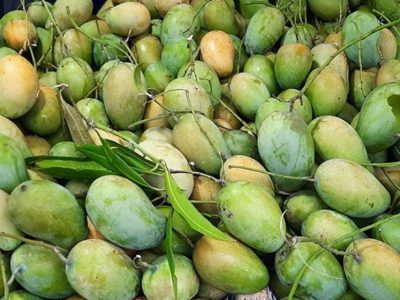 আম