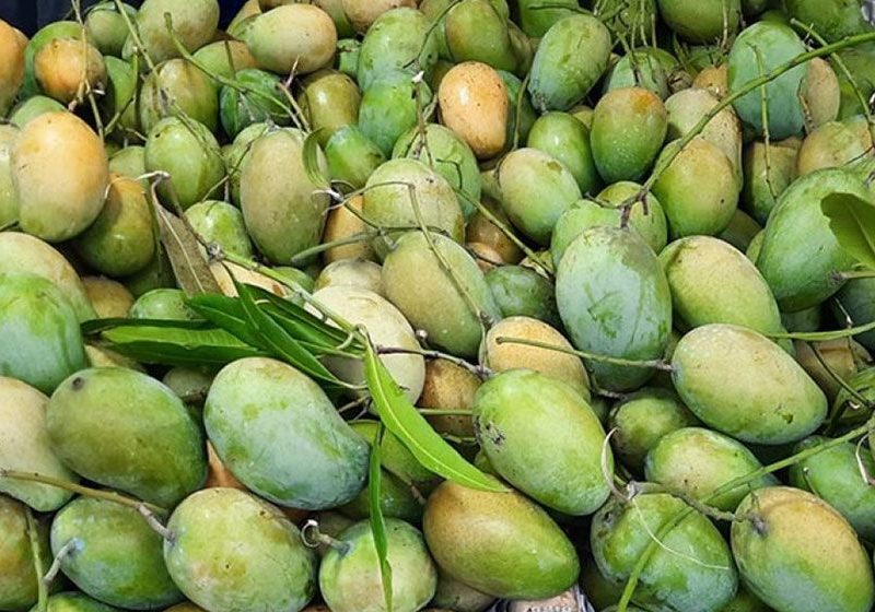 আম