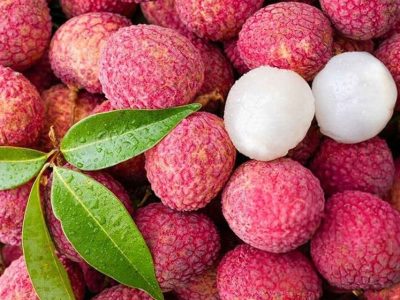 লিচু