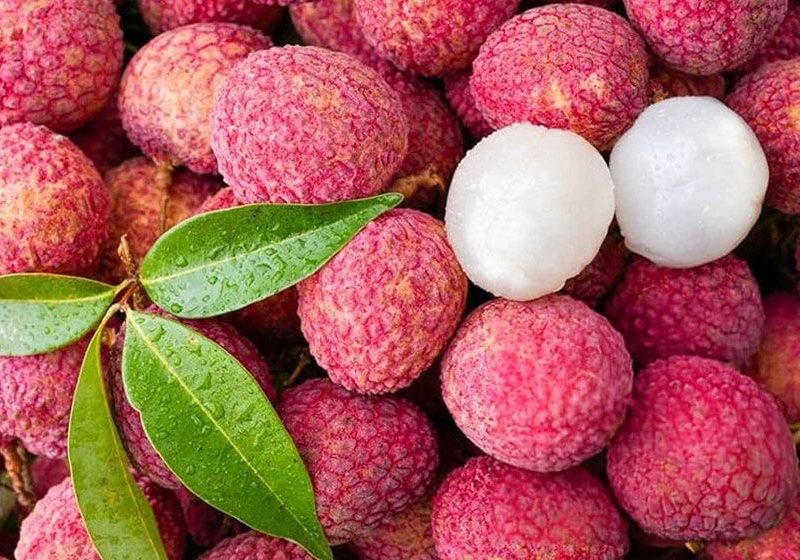 লিচু