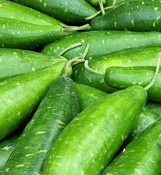 লাউ