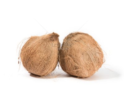 নারিকেল