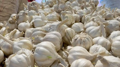 রসুন (আমদানি)