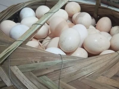 মুরগির ডিম (দেশি)
