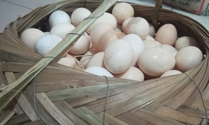 মুরগির ডিম (দেশি)